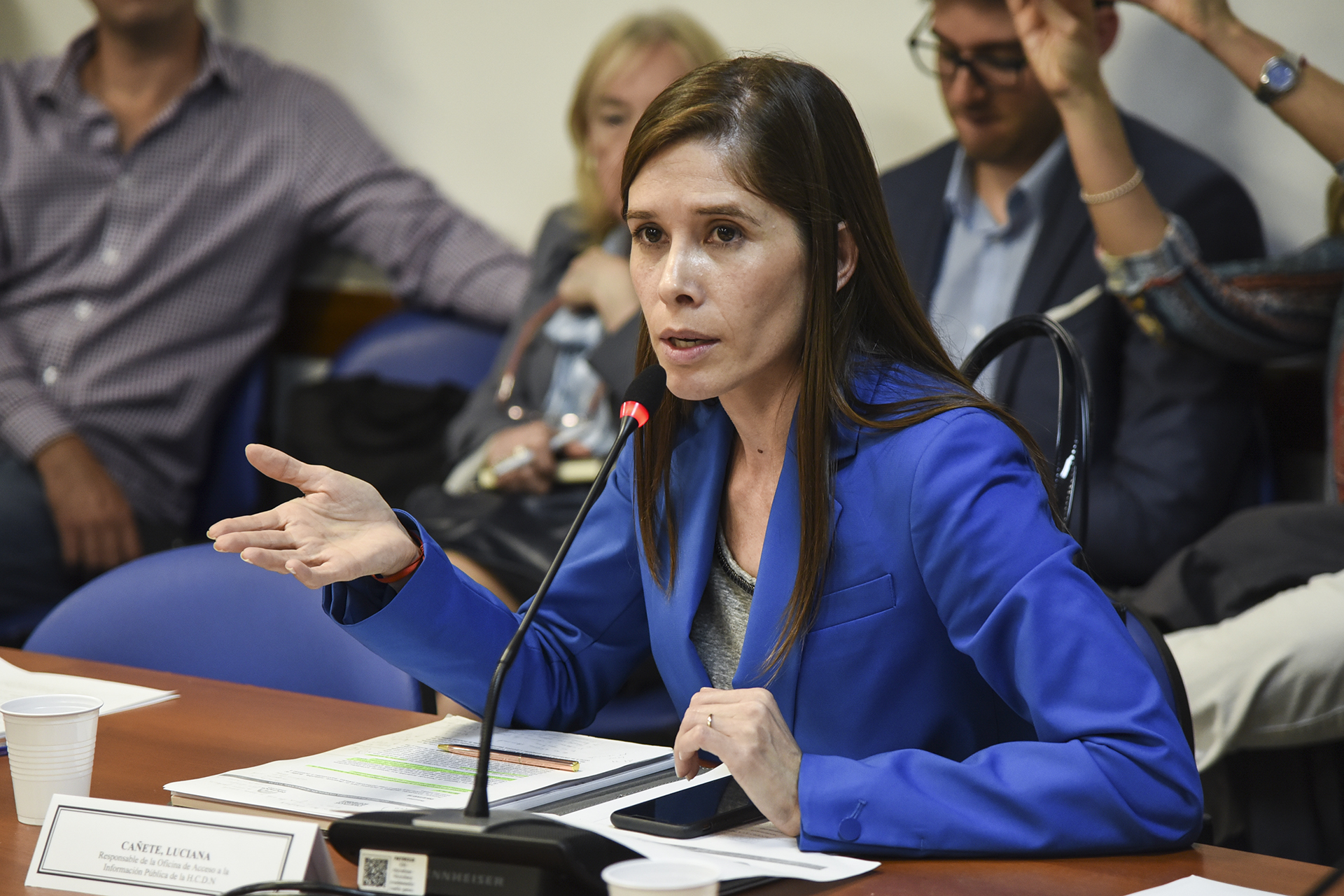 Galeria de imagenes de la noticia SE DESARROLLÓ EN DIPUTADOS UNA JORNADA DE FORTALECIMIENTO DE LAS INSTITUCIONES
